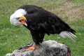 IMG16541