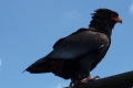 P1050601
