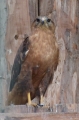 P1050636