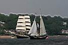 IMG_5330.JPG