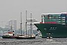 IMG_5381.JPG