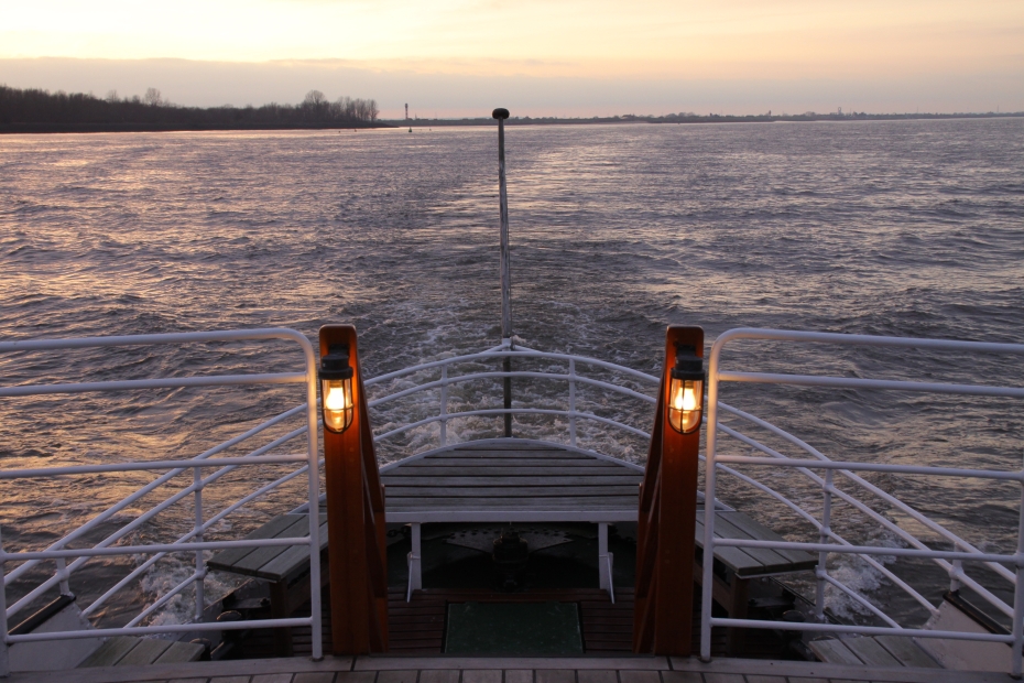 IMG19338.JPG