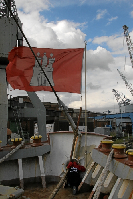 IMG22381.JPG