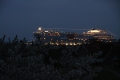 IMG11791