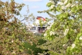 IMG11854