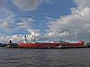 DSC06619.JPG