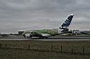 IMG_2736.JPG