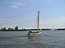 IMG_3945.JPG