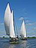 IMG_3985.JPG