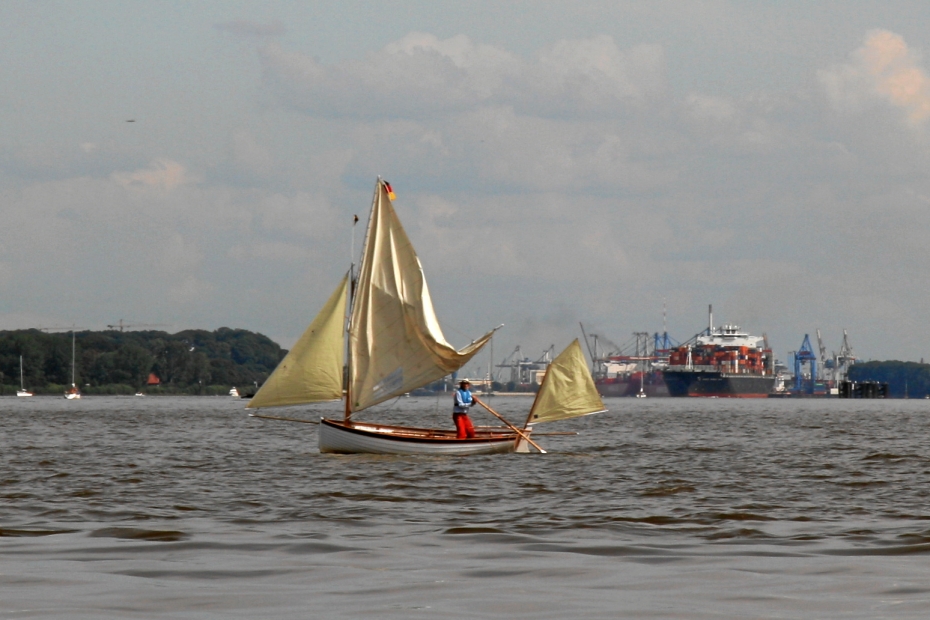 IMG21088.JPG - seltsame Fortbewegung: vorm Wind und wriggen