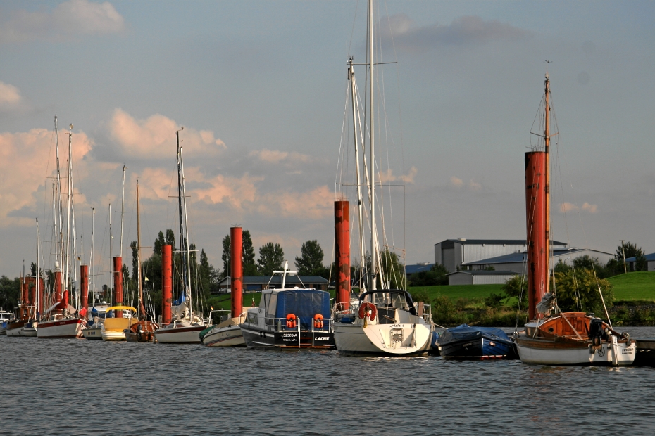 IMG20936.JPG