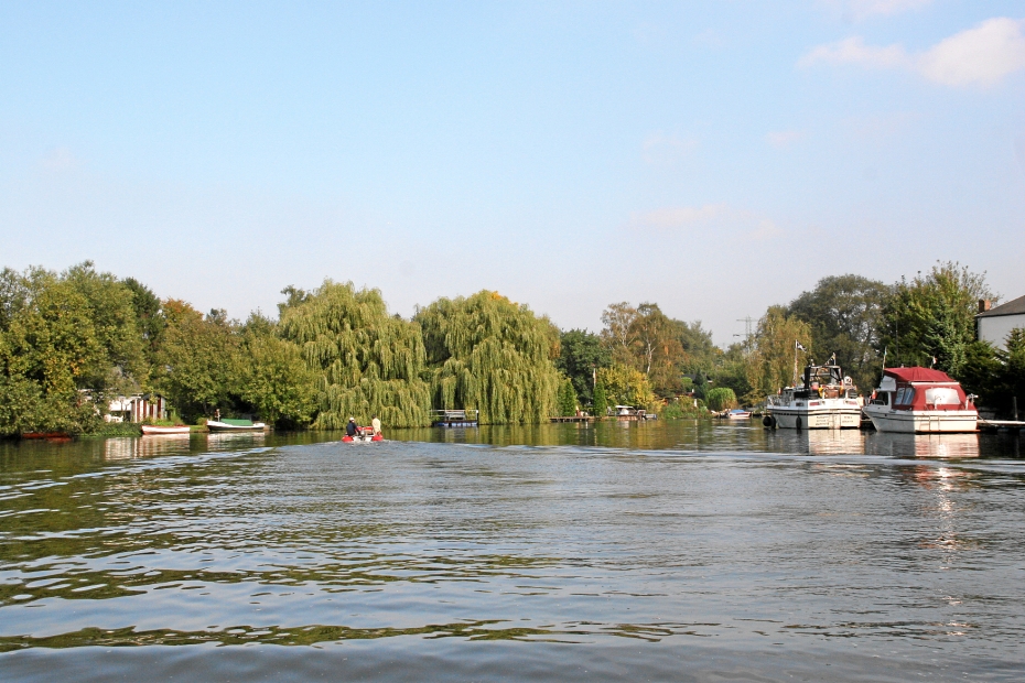 IMG22935.JPG