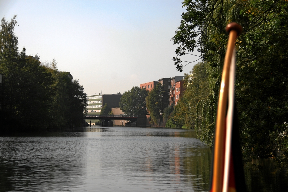 IMG22990.JPG