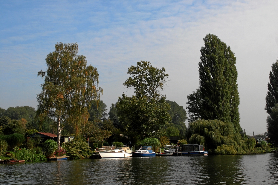 IMG23004.JPG