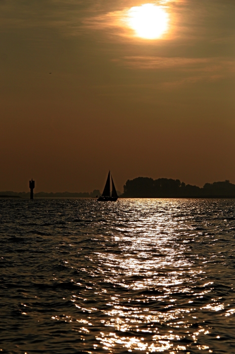 IMG23122.JPG
