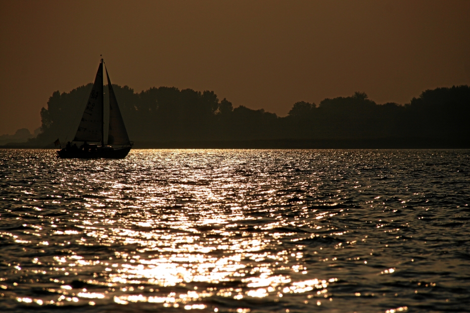 IMG23124.JPG