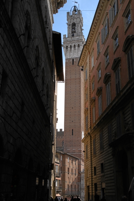 IMG14439.JPG - Siena