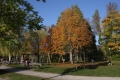 IMG14330