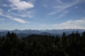 IMG17746