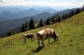 IMG17941