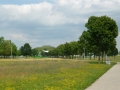 P1020229
