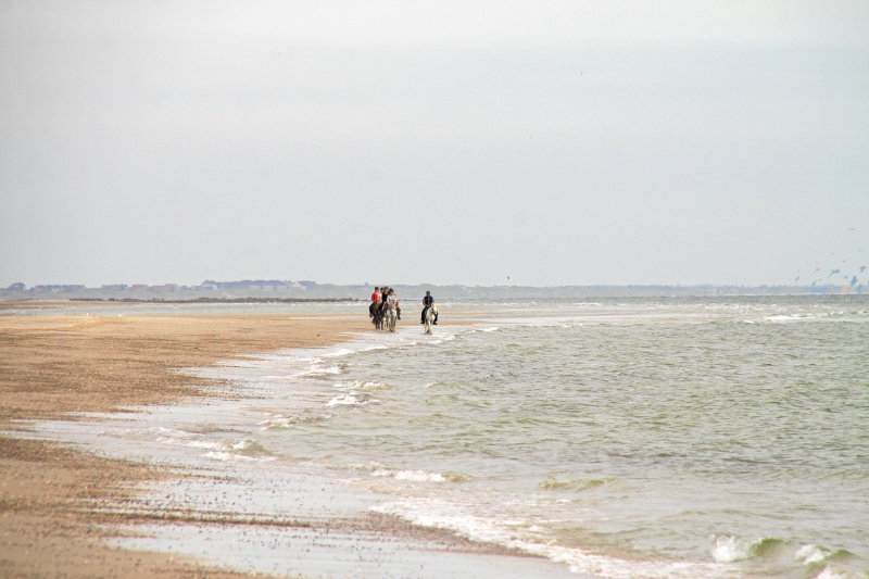 IMG26945.JPG