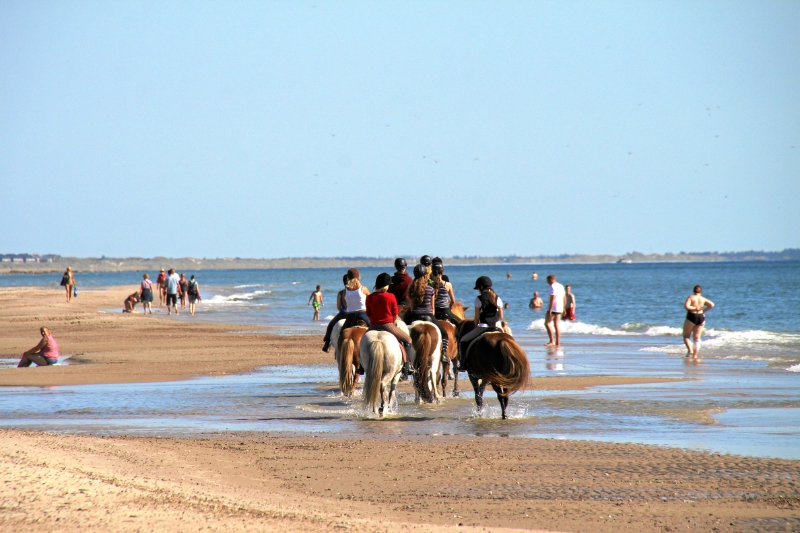 IMG27087.JPG