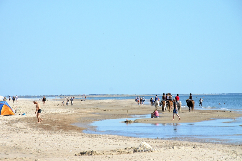 IMG27089.JPG