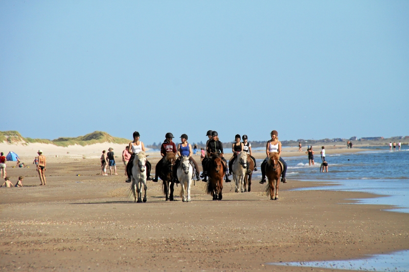 IMG27096.JPG