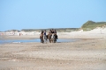 IMG27064