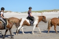 IMG27079
