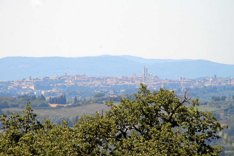 IMG27204.JPG - Mit Blick auf Siena