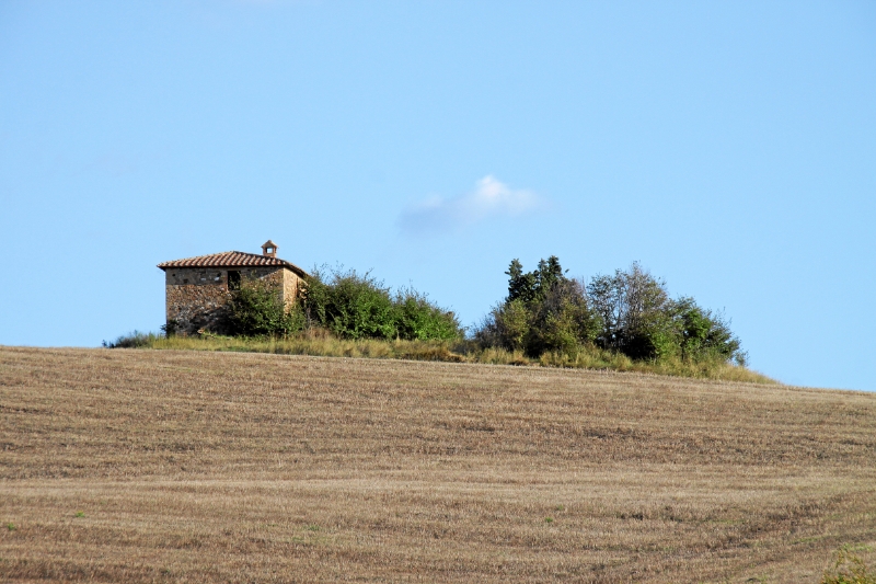 IMG27404.JPG