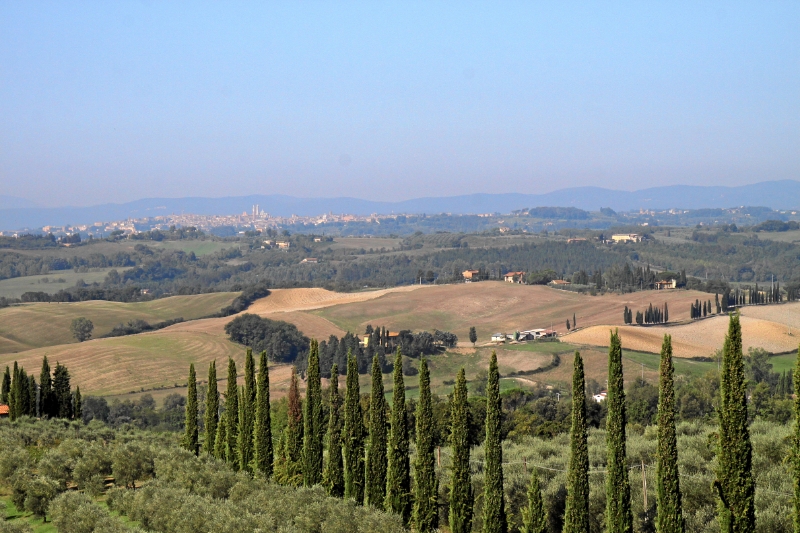 IMG27533.JPG