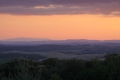 IMG27243