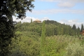 IMG27265