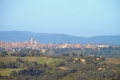IMG27379