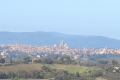IMG27380