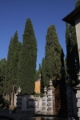 IMG27390