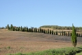 IMG27409
