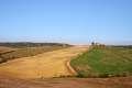 IMG27429