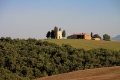 IMG27432