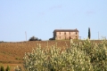 IMG27461