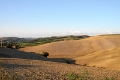 IMG27474