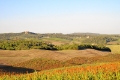 IMG27509
