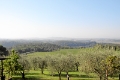 IMG27524