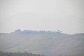 IMG27527