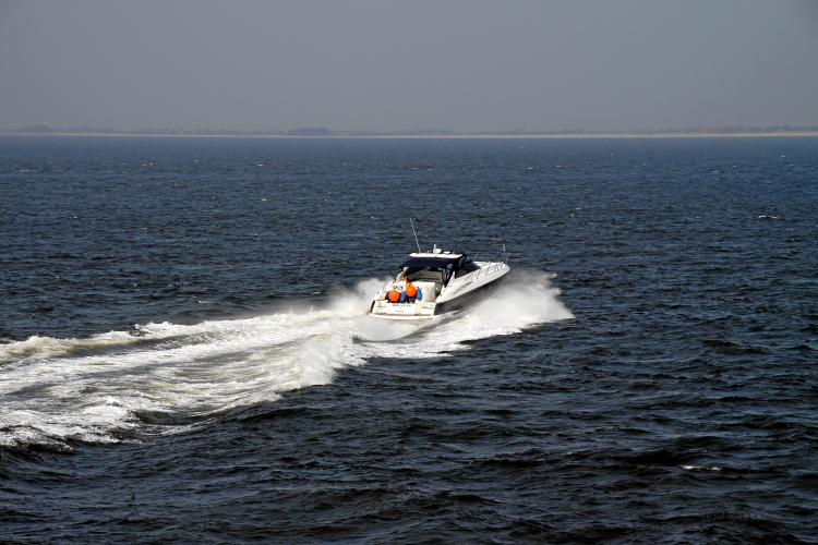 IMG_1319.JPG