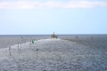 IMG_0615