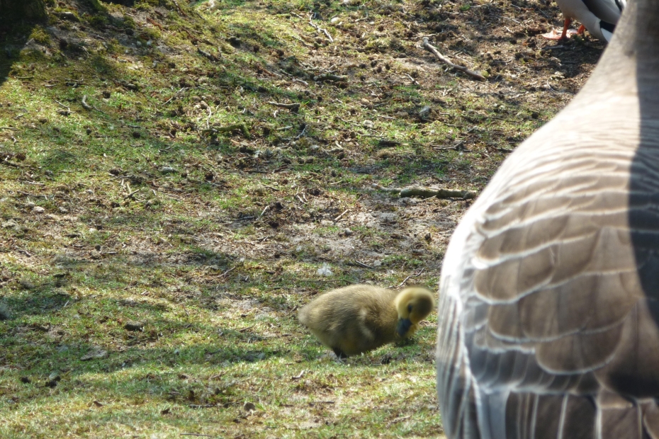 P1010894.JPG
